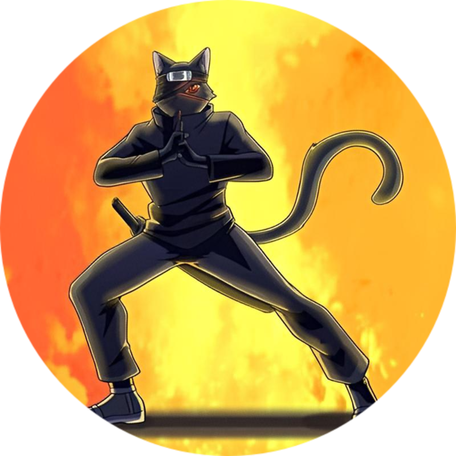 Ninja Cat